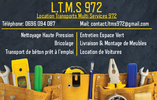 L.T.M.S 972 Location Transports Multi-Services 972